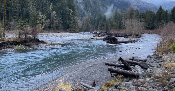 Olympic National Park: Half-Day Tour - Itinerary Highlights