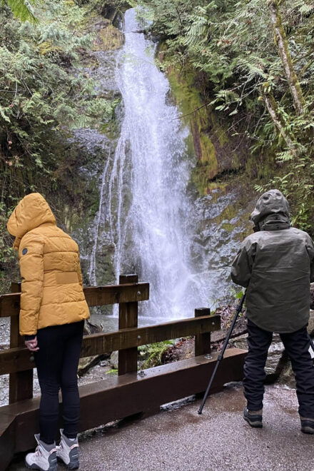 Olympic National Park: Half-Day Tour - Group and Guide Information