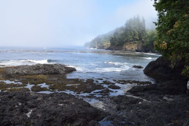 Olympic National Park: Half-Day Tour - Participant Requirements and Restrictions