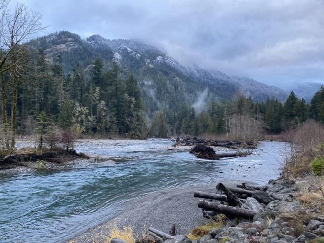 Olympic National Park: Half-Day Tour - Meeting Point and Travel Information