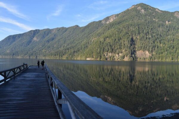 Olympic National Park: Half-Day Tour - Free Cancellation and Payment