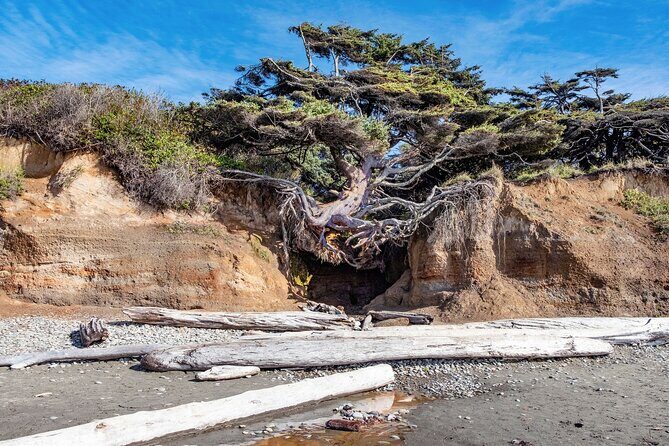 Olympic National Park Self-Guided Audio Tour - FAQs