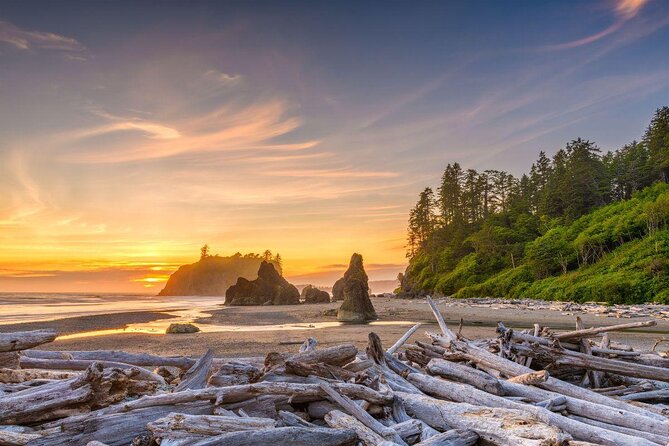Olympic National Park, Snoqualmie Falls 2-Day Tour From Seattle - Tour Highlights