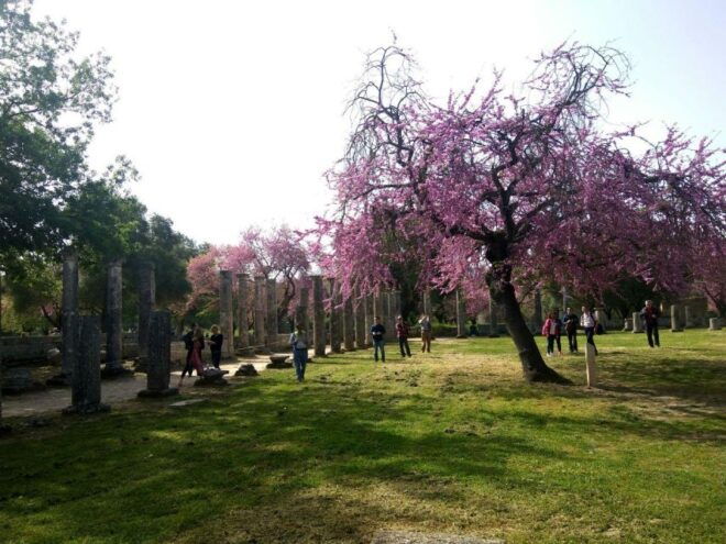 Olympic Site All-Inclusive Private Tour With a Local Expert - Inclusions