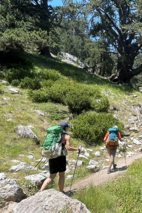 Olympus: Introduction to Mountain Hiking - Detailed Itinerary