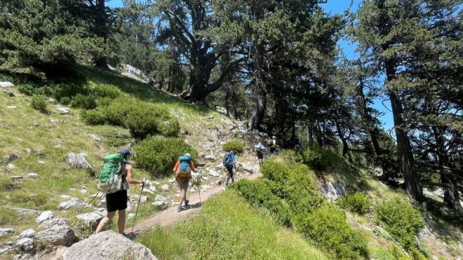 Olympus: Introduction to Mountain Hiking - Included Services and Benefits