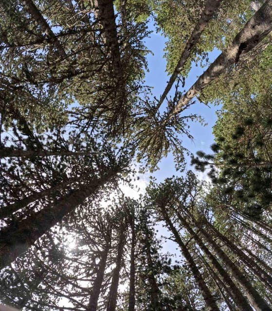Olympus: Introduction to Mountain Hiking - Participant Restrictions