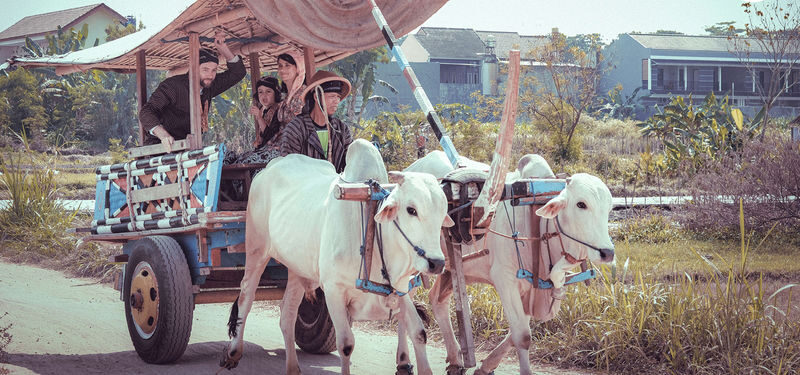 Omah Kecebong Cultural Activities in Yogyakarta - What to know before you go