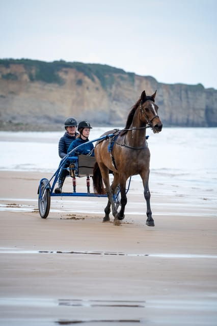 Omaha Beach: Sulky Baptism on the Beach - Key Points