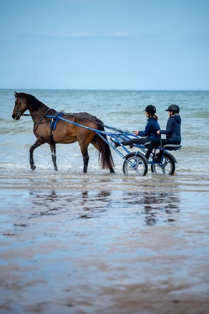 Omaha Beach: Sulky Baptism on the Beach - Historical Context of Omaha Beach