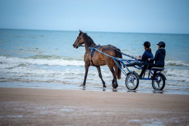 Omaha Beach: Sulky Baptism on the Beach - Experience Highlights