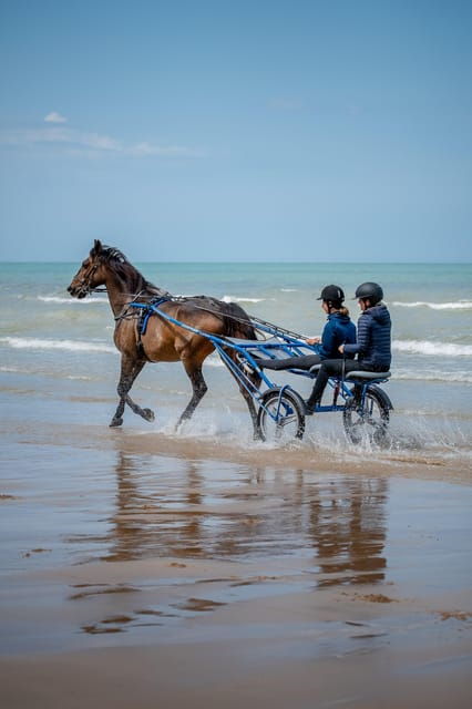 Omaha Beach: Sulky Baptism on the Beach - Booking Process