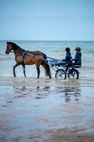 Omaha Beach: Sulky Baptism on the Beach - What to Expect