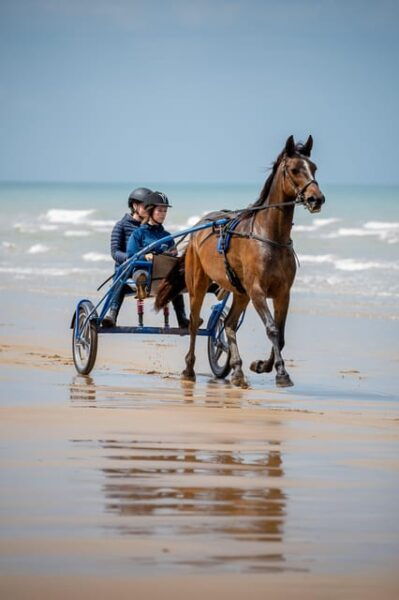 Omaha Beach: Sulky Baptism on the Beach - Accessibility Features