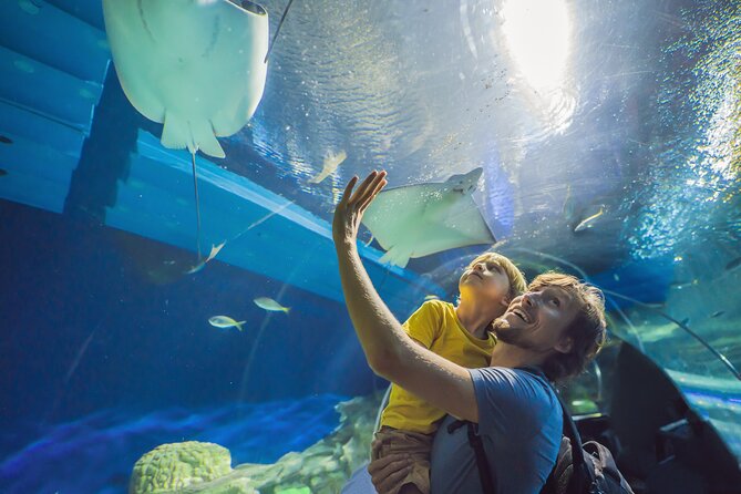 Oman Aquarium - Admission Ticket - Good To Know