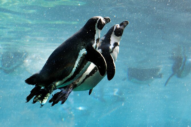 Oman Aquarium - Admission Ticket - Frequently Asked Questions