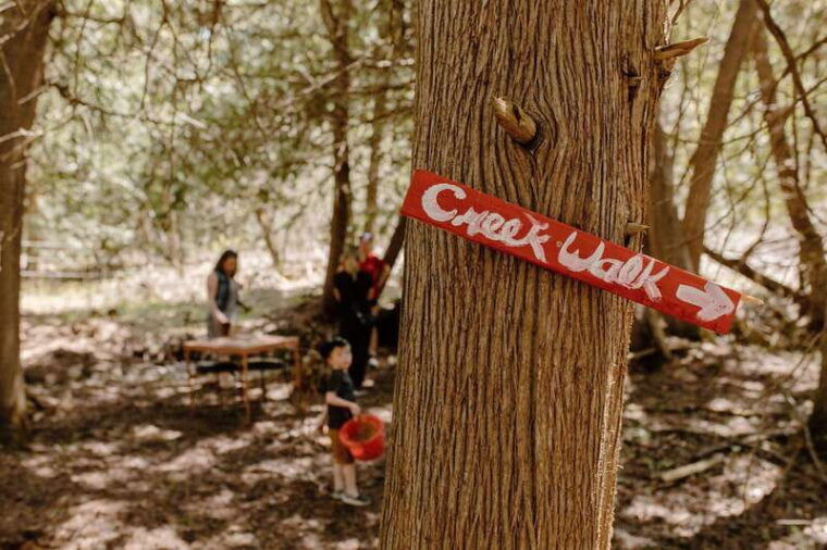 Omemee: A Playdate With a Pony - Practical Details and Tips