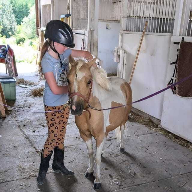 Omemee: A Playdate With a Pony - Who Will Love This Experience?