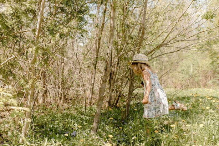 Omemee: A Playdate With a Pony - Final Thoughts