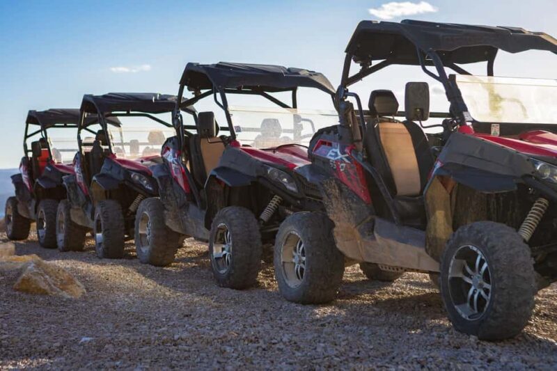 Omi: 2-Person Buggy Tour with Lunch and Wine Tasting - An In-Depth Look at the Croation Buggy Experience