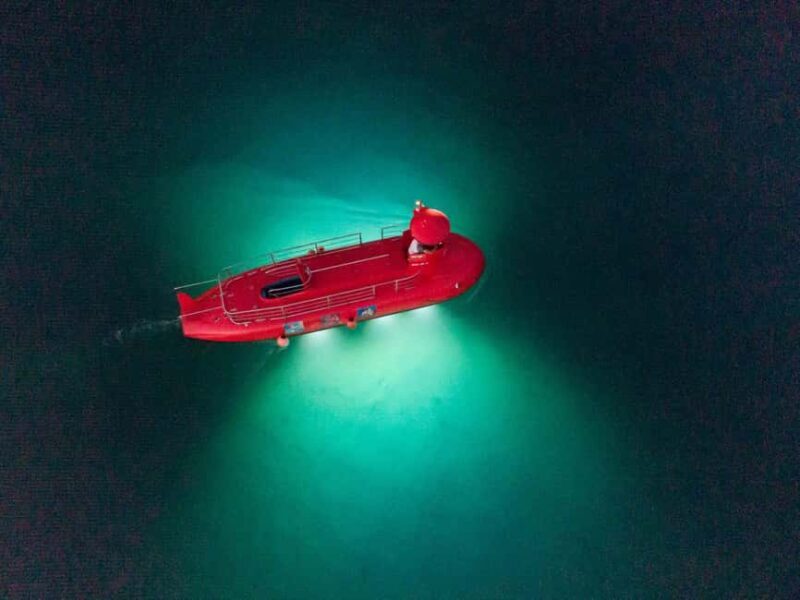 Omi: Semi-Submarine Underwater Adventure - Authentic Traveler Insights