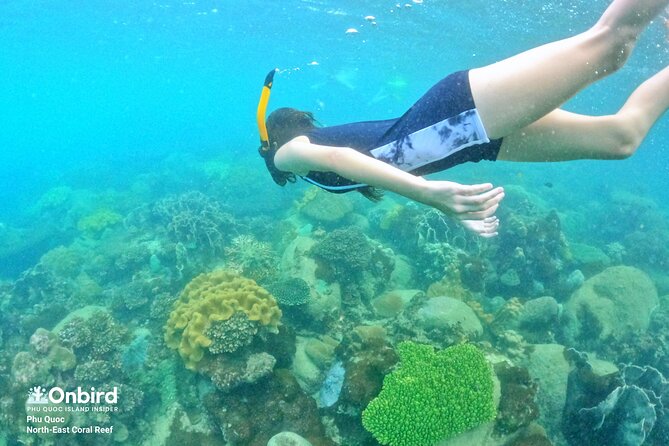 Onbird - Private Family KID-FRIENDLY Snorkeling Trip by Speedboat in Phu Quoc - The Sum Up