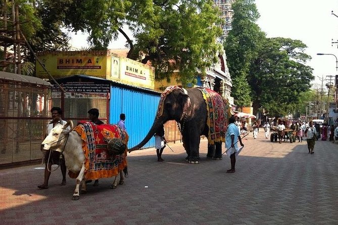 Once Upon A Madurai Trail - Tour Highlights