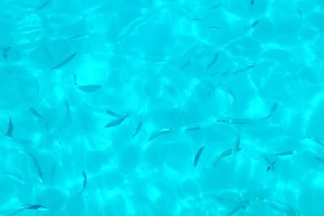 One and a Half Hour Tour by Boat to the Scala Dei Turchi - Reviews and Ratings