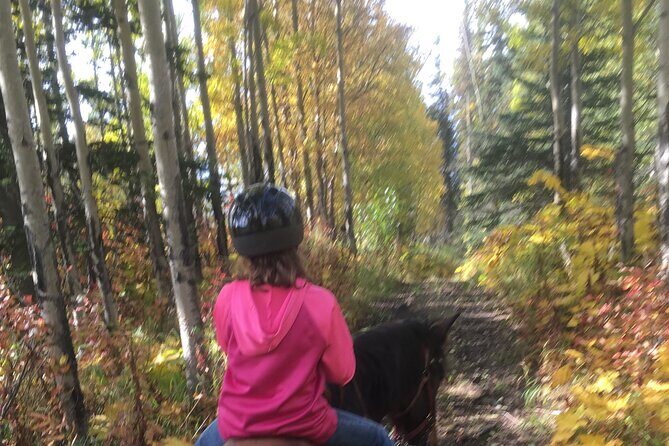 One and Half Hour Trail Ride at The Base of Chugach Mountains - The Value of the Experience