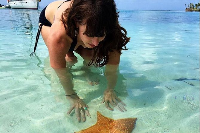 One Day Amazing SAN BLAS ISLAND Tour Round-Trip Transport - Tour Information