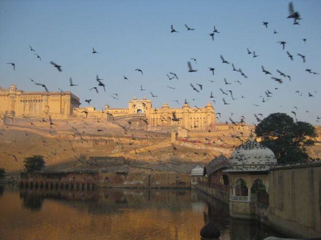 One Day Amer Fort & Jaipur City Tour From Delhi By Car - Inclusions