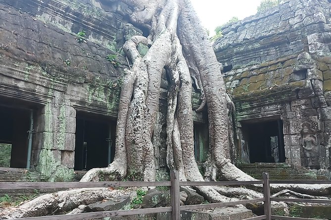 One Day Angkor Temple Tour With Private Driver - Common Questions