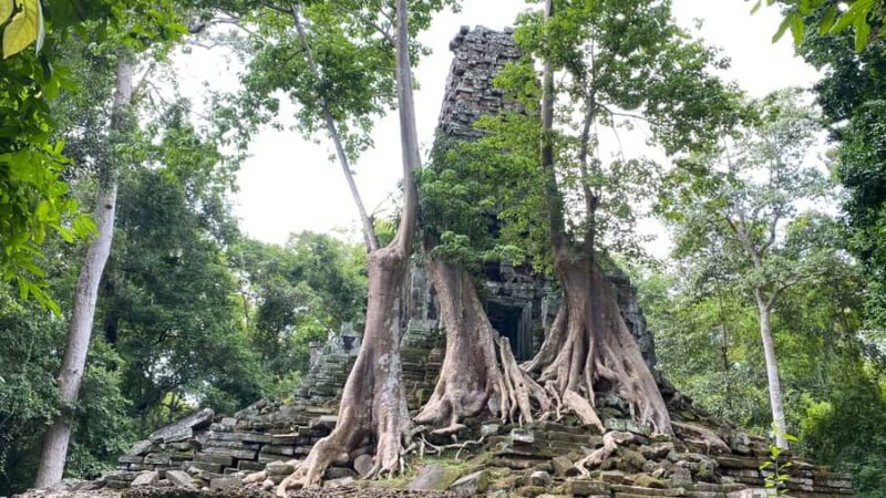 One Day Angkor Thom and Temples Tour from Siem Reap - Final Thoughts on Value and Suitability
