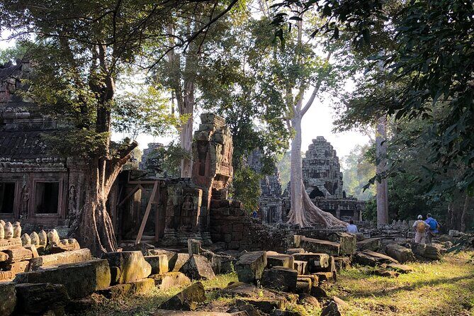 One Day Angkor Wat Bayon Ta Prohm From Siem Reap - Who Should Book This Tour?