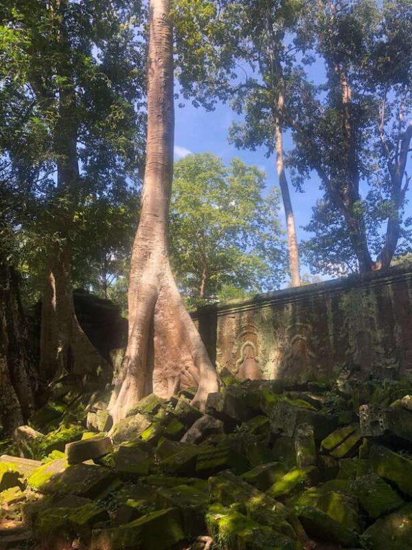 One Day Angkor Wat Bayon Ta Prohm from Siem Reap - How the Tour Provides Great Value for Money