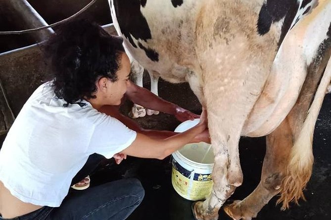 One Day Be Farmer and Master Chef in Saigon - Saigons Vibrant Food Scene