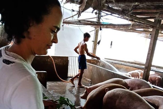 One Day Be Farmer and Master Chef in Saigon - Creating Lasting Memories in Saigon