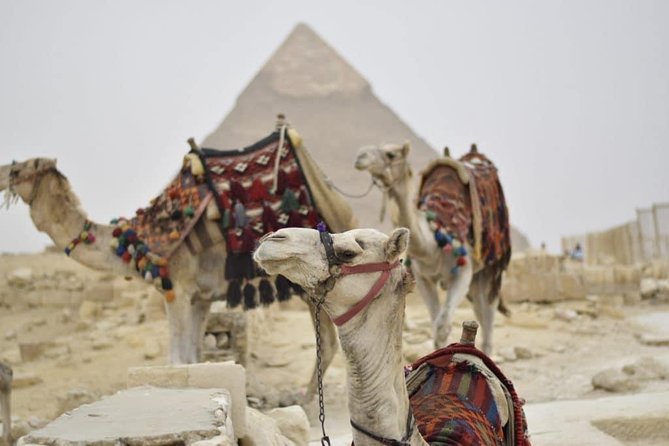 One Day Cairo Pyramids Trip From Hurghada - Inclusions