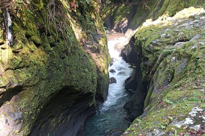 One Day Customized Kumamoto and Miyazaki Takachiho Tour - Itinerary Highlights