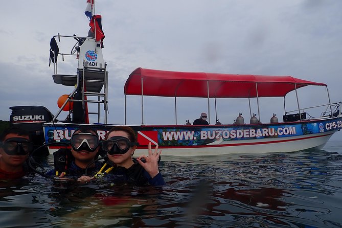 One-Day Diving Mini Course - Discover Scuba Diving - Course Overview