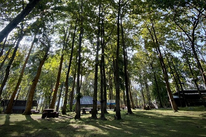 One Day Doi Suthep Temple, Longneck Hill Tribe & Sticky Waterfall - Common Questions