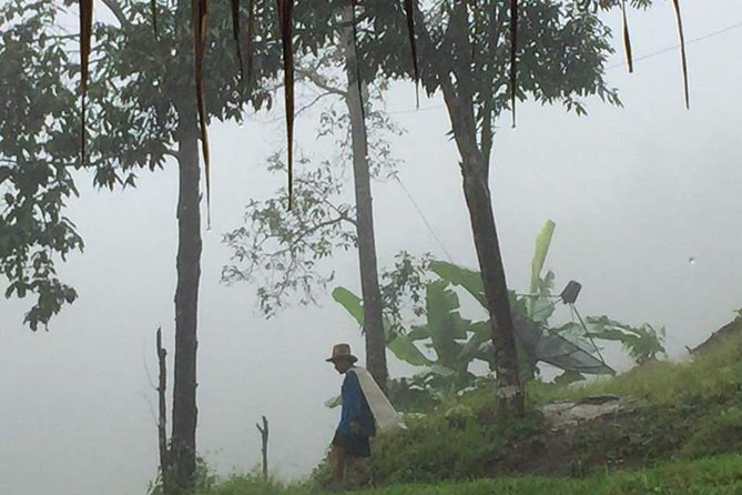 One Day Elephants in Nature Experience & Grand Canyon Jumping - Cancellation Policy