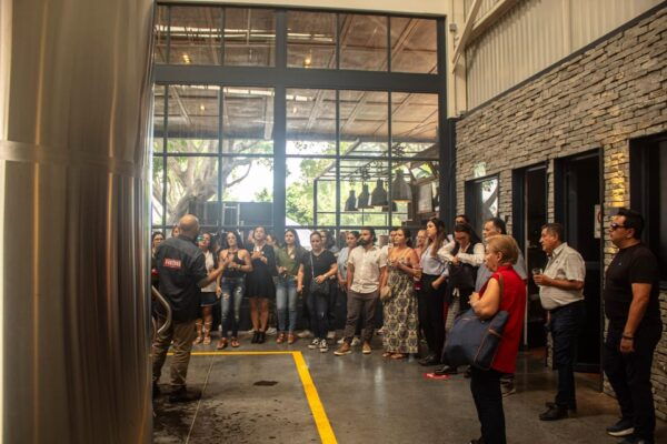 One Day Experience Tequila Distillery and a Local Brewery - Booking and Reservations