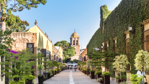 One Day Experience Tequila Distillery and a Local Brewery - Pickup Locations