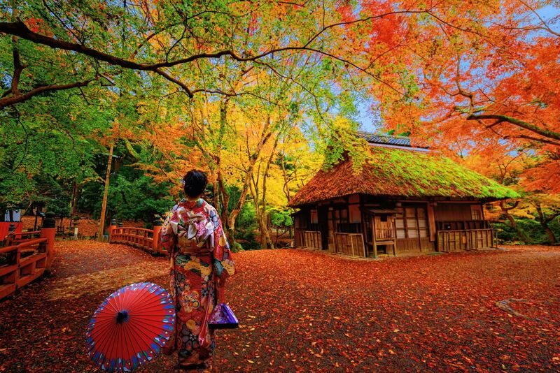 One-Day Exploration Tour of Yufuin and Yabakei for Autumn Foliage Viewing - Four things to know before you go
