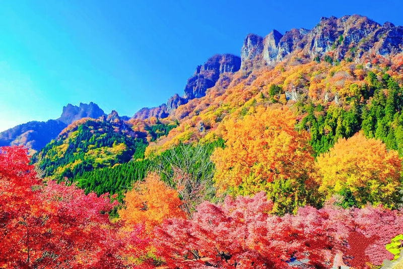 One-Day Exploration Tour of Yufuin and Yabakei for Autumn Foliage Viewing - Four stops, one long day