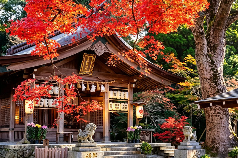 One-Day Exploration Tour of Yufuin and Yabakei for Autumn Foliage Viewing - Umi Jigoku and Beppu’s hot spring atmosphere