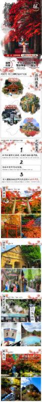 One-Day Exploration Tour of Yufuin and Yabakei for Autumn Foliage Viewing - The guide and coach are central to the experience