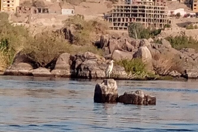 One Day From Aswan Philae, the Unfinished Obelisk, and the High Dam - Cancellation and Refund Policy