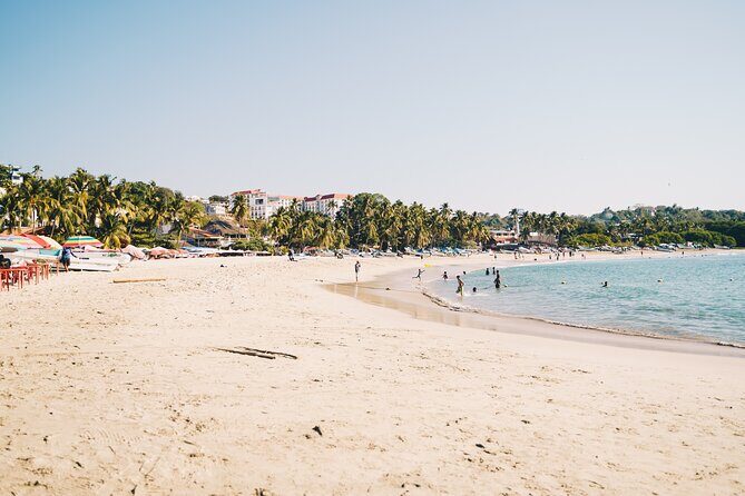 One Day from Oaxaca Getaway to Puerto Escondido - Authentic Experiences and Honest Feedback